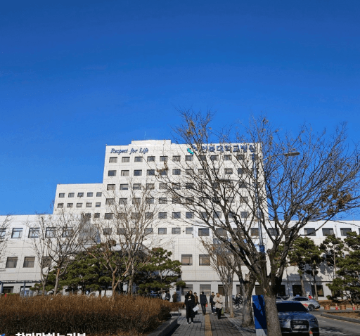 전주시 덕진구 야간진료 병원