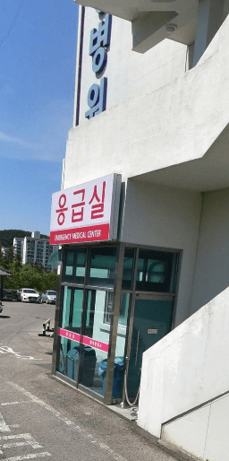 옥천군 야간진료 병원