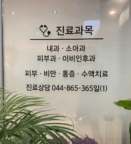 세종시 야간진료 병원