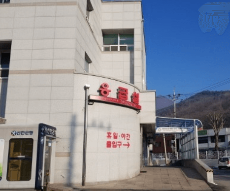 영월군 야간진료 병원