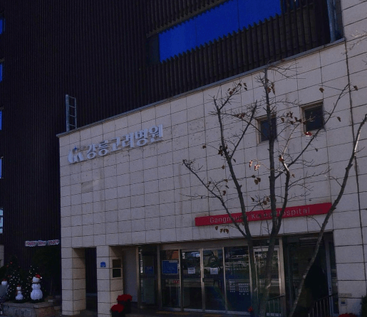 강릉시 야간진료 병원