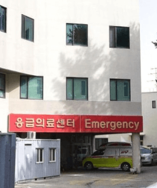 강릉시 야간진료 병원