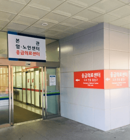 춘천시 야간진료 병원