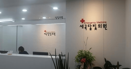 서울 강남구 달빛어린이병원