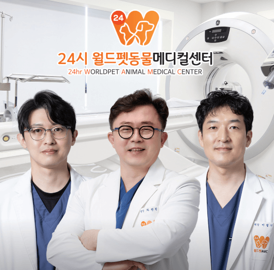 서울 양천구 동물병원