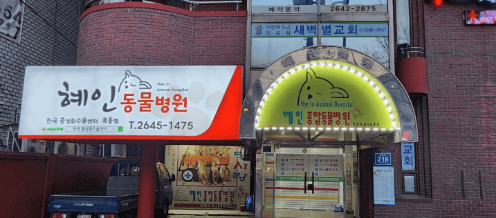 서울 양천구 동물병원