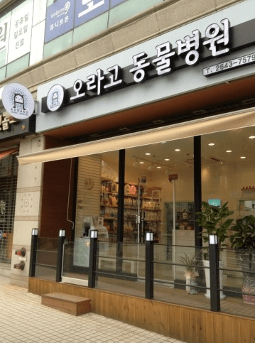 서울 양천구 동물병원