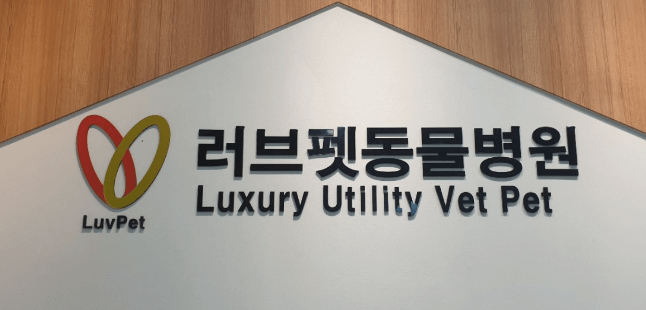 서울 영등포구 동물병원