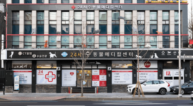 서울 영등포구 동물병원