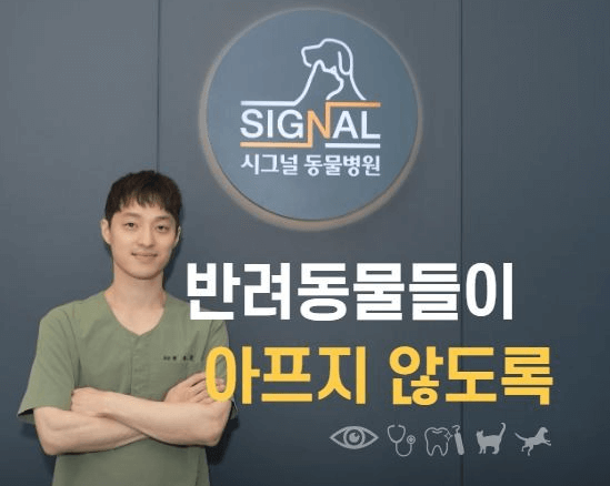 서울 영등포구 동물병원