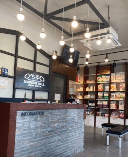 서울 동작구 동물병원