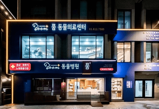 서울 동작구 동물병원