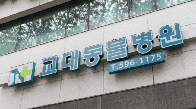서울 서초구 동물병원