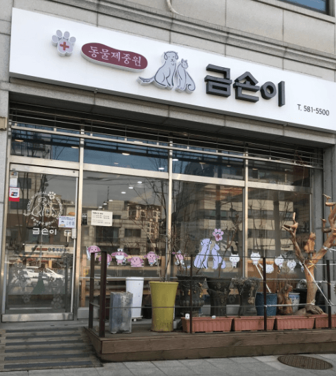 서울 서초구 동물병원