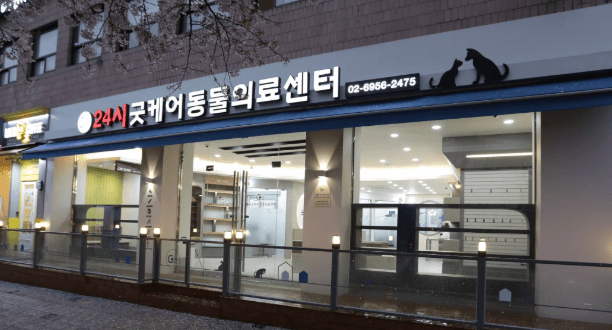 서울 관악구 동물병원