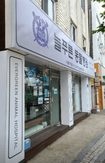 서울 관악구 동물병원