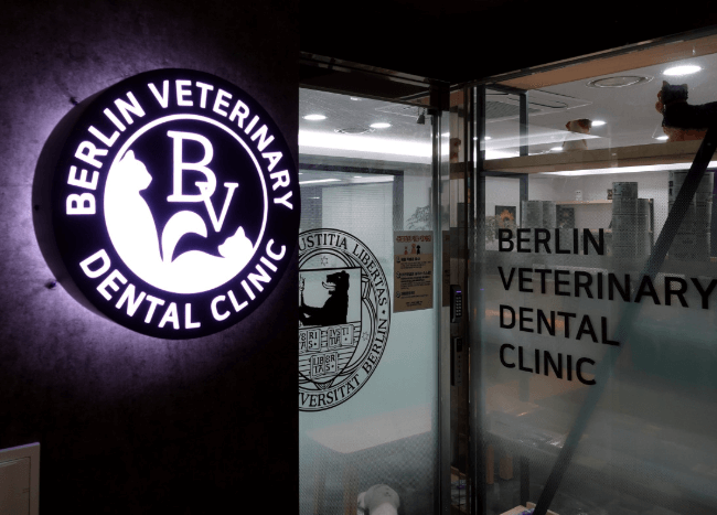 서울 송파구 동물병원