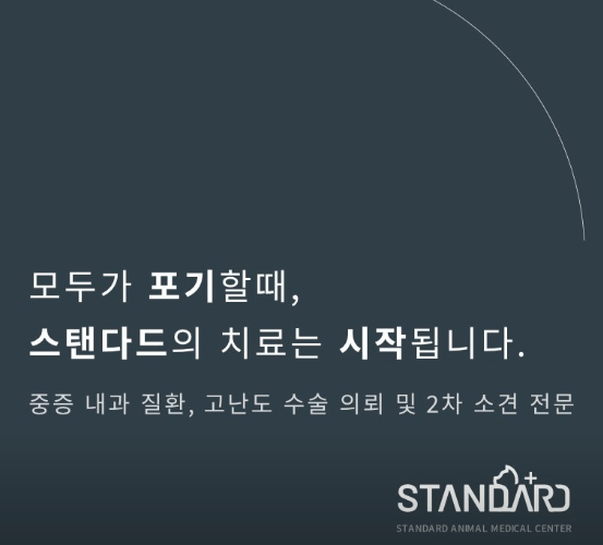서울 송파구 동물병원