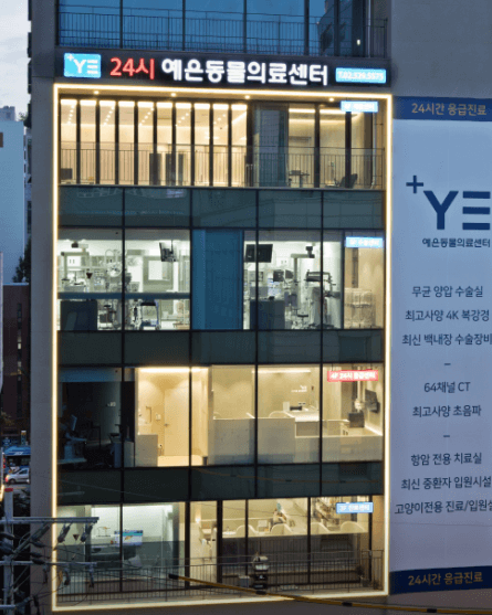 서울 강남구 동물병원