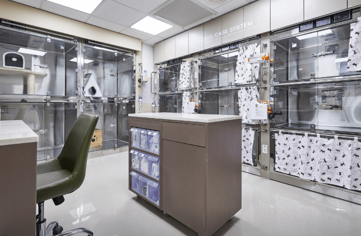 서울 강남구 동물병원