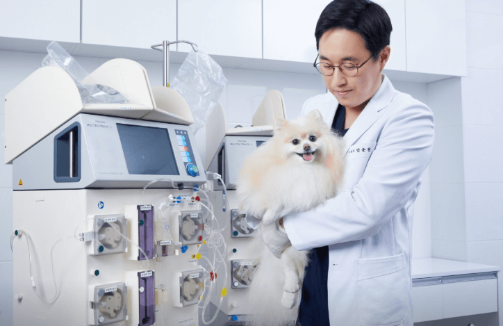 서울 강남구 동물병원