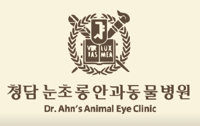 서울 강남구 동물병원