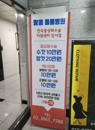 서울 강서구 동물병원