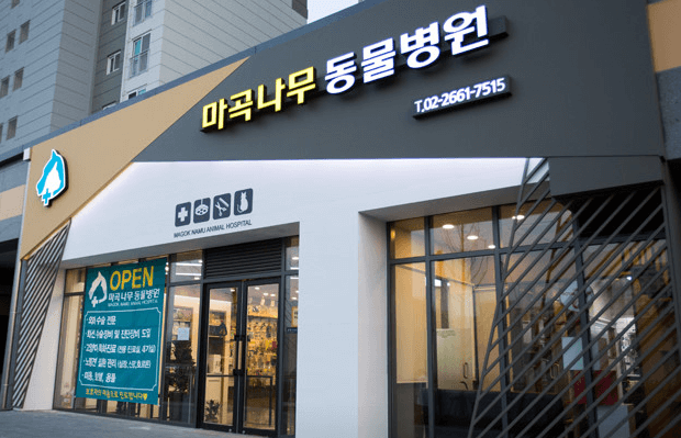 서울 강서구 동물병원