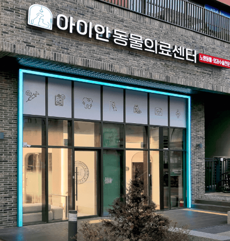 서울 강동구 동물병원