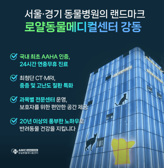 서울 강동구 동물병원