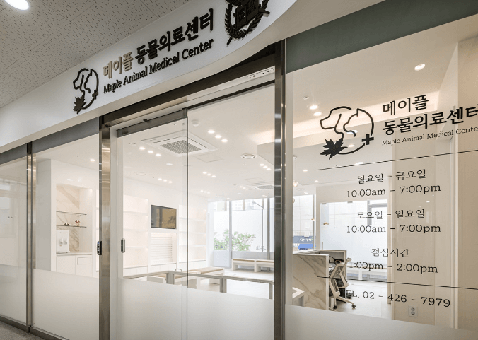 서울 강동구 동물병원