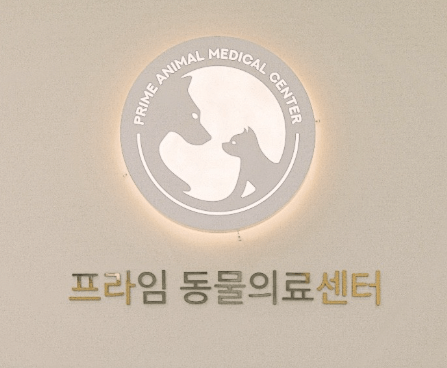 서울 강동구 동물병원
