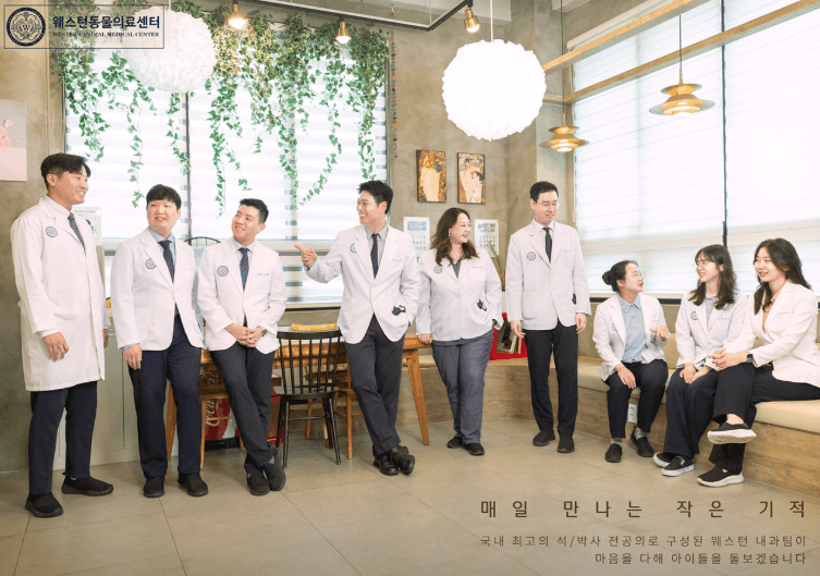 서울 마포구 동물병원