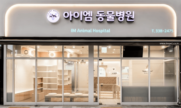 서울 마포구 동물병원