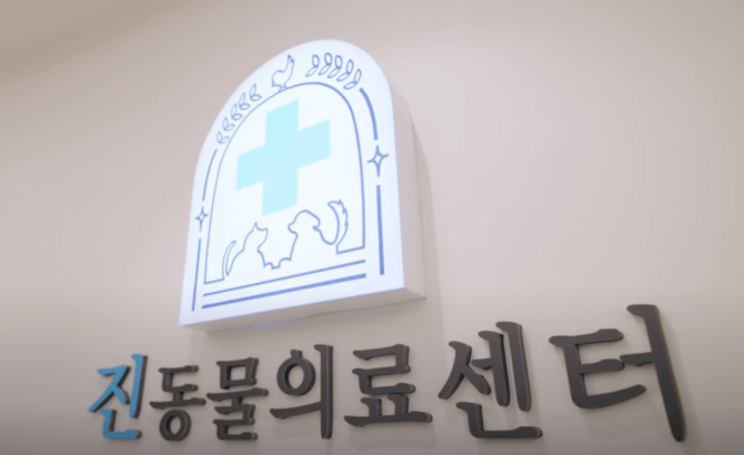 서울 마포구 동물병원