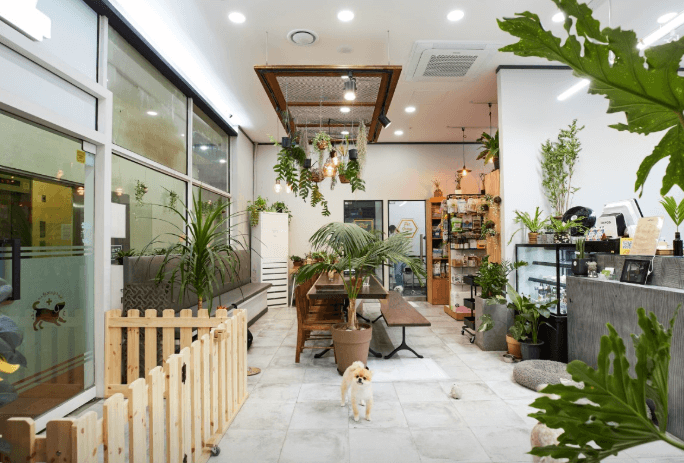 서울 마포구 동물병원