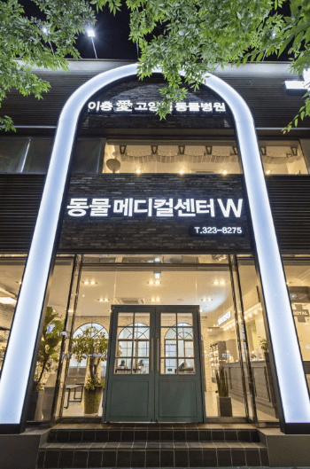 서울 마포구 동물병원