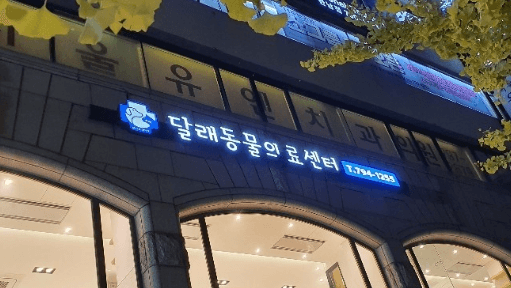 서울 용산구 동물병원