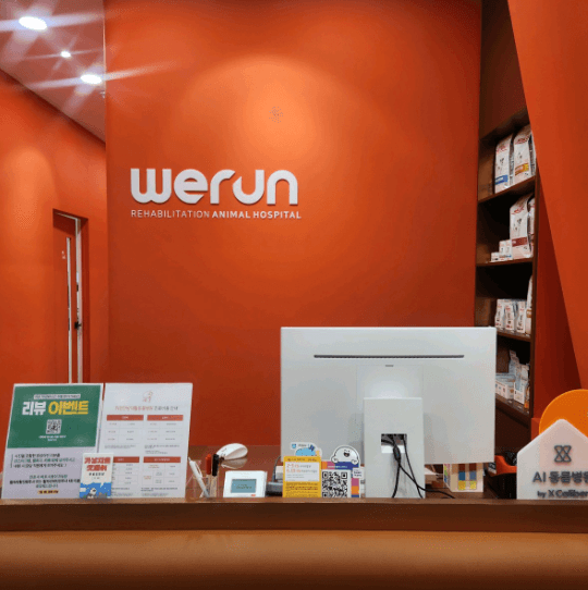 서울 용산구 동물병원