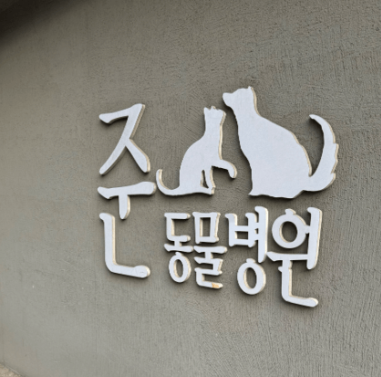 서울 광진구 동물병원