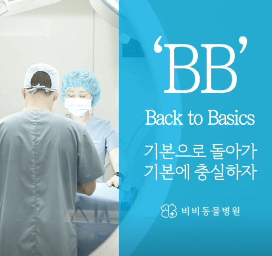 서울 광진구 동물병원