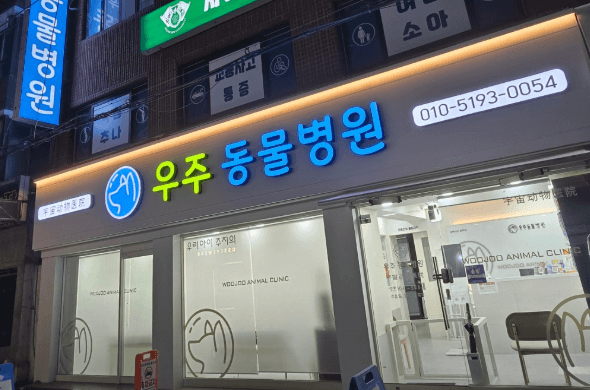 서울 광진구 동물병원