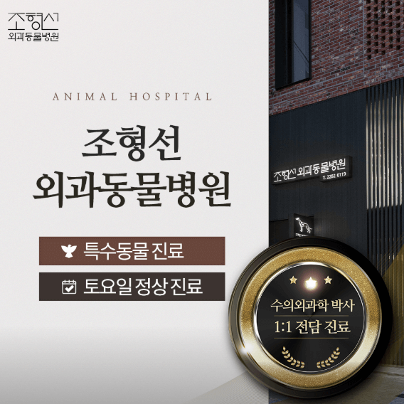 서울 성동구 동물병원