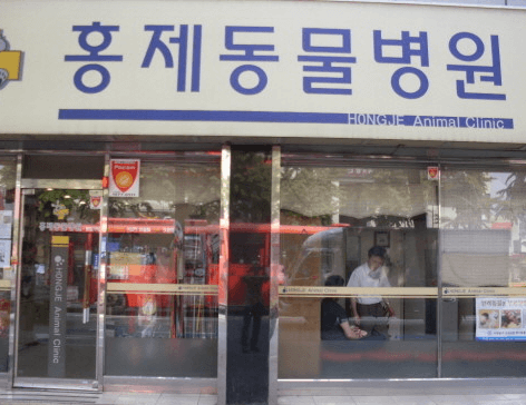 서울 서대문구 동물병원