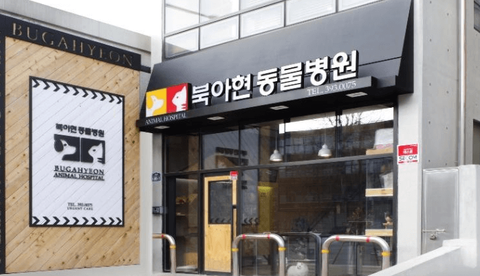 서울 서대문구 동물병원