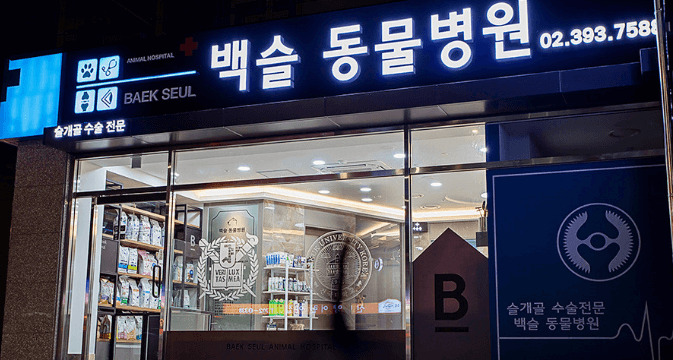 서울 중구 동물병원