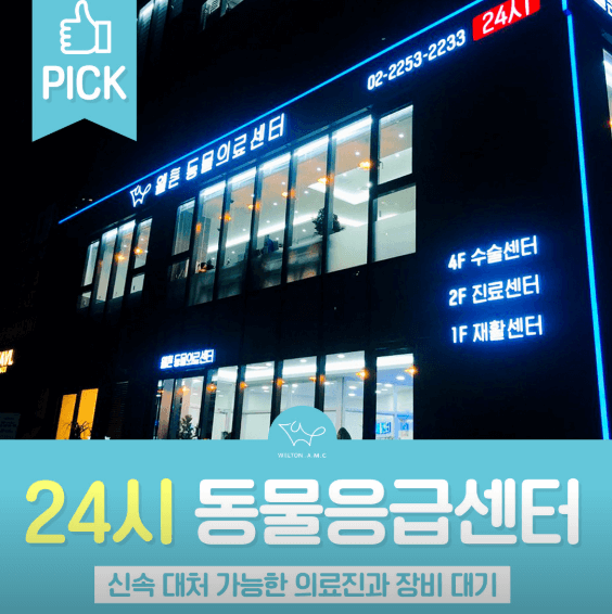 서울 중구 동물병원