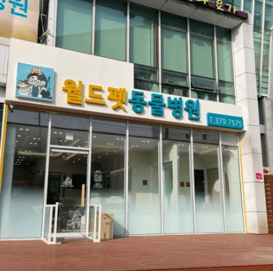 서울 종로구 동물병원
