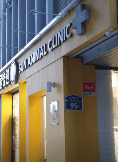 서울 종로구 동물병원