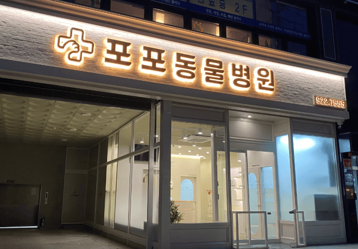 서울 성북구 동물병원